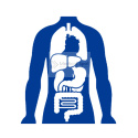 Mobilne USG 192 elementy. Ultrasonograf C10XS Convex, Linia, Kardio, kolor Doppler.